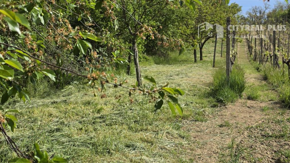 Predám Chatu so záhradou Nová Vieska