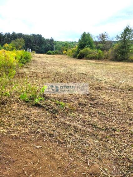 Na predaj  pozemky v blízkosti termálneho kúpaliska v obci Podhájska
