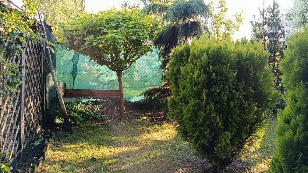 Predám Záhradu v chatovej oblasti Ozón - Nesvady