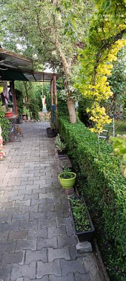 Predám Záhradu v chatovej oblasti Ozón - Nesvady