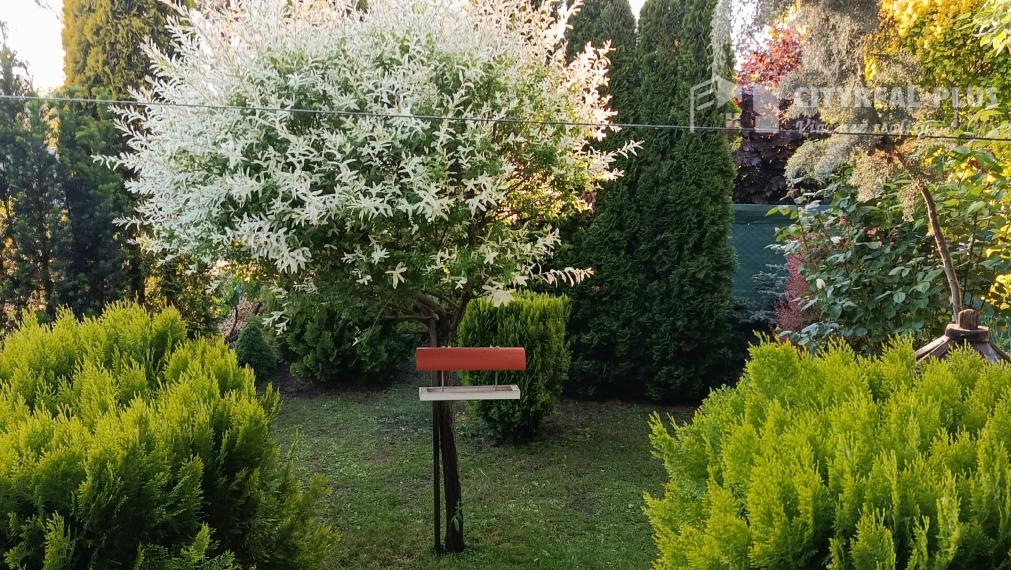 Predám Záhradu v chatovej oblasti Ozón - Nesvady