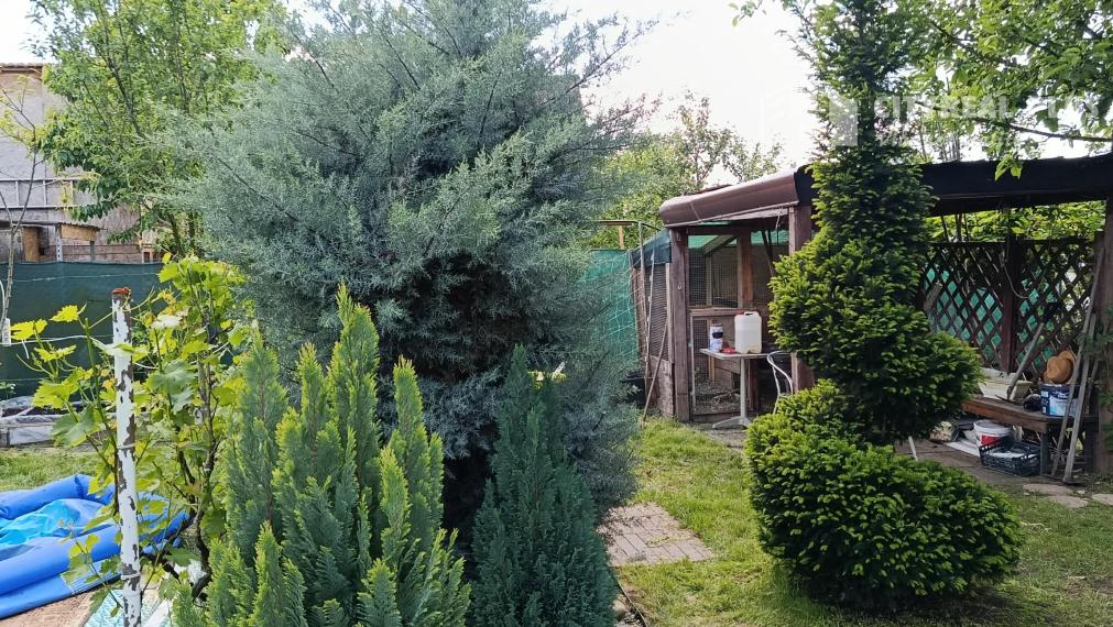 Predám Záhradu v chatovej oblasti Ozón - Nesvady