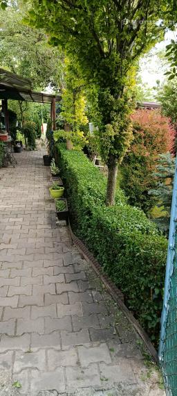 Predám Záhradu v chatovej oblasti Ozón - Nesvady