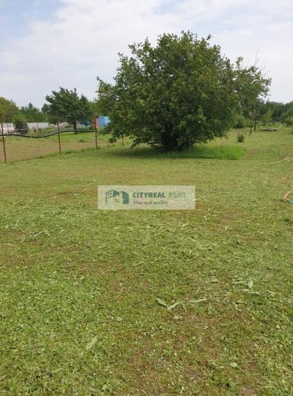 Predám ornú pôdu v intraviláne s možnosťou výstavby rodinného domu  Dubník