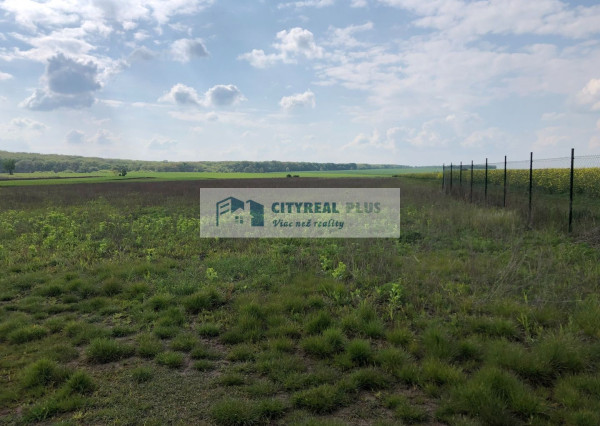 Predám pozemky len 12 km od  Nitry