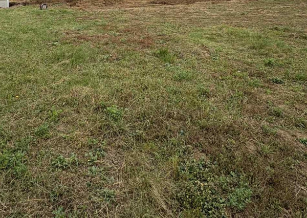 Na predaj slnečný a rovinatý pozemok v obci Dolný Ohaj.