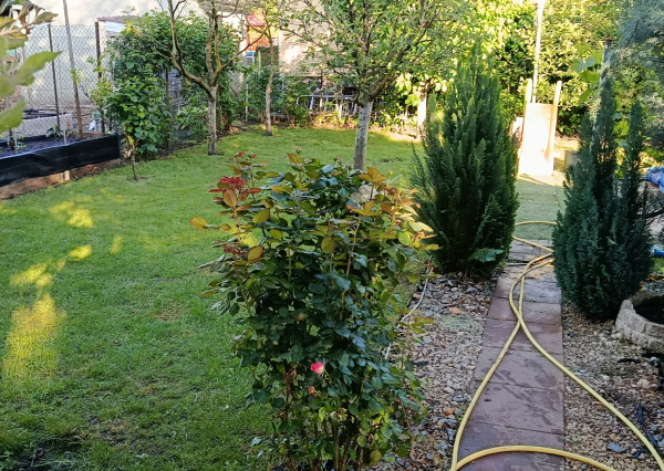 Predám Záhradu v chatovej oblasti Ozón - Nesvady